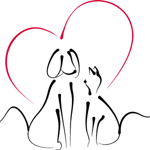 Team Page: Animal Health Center